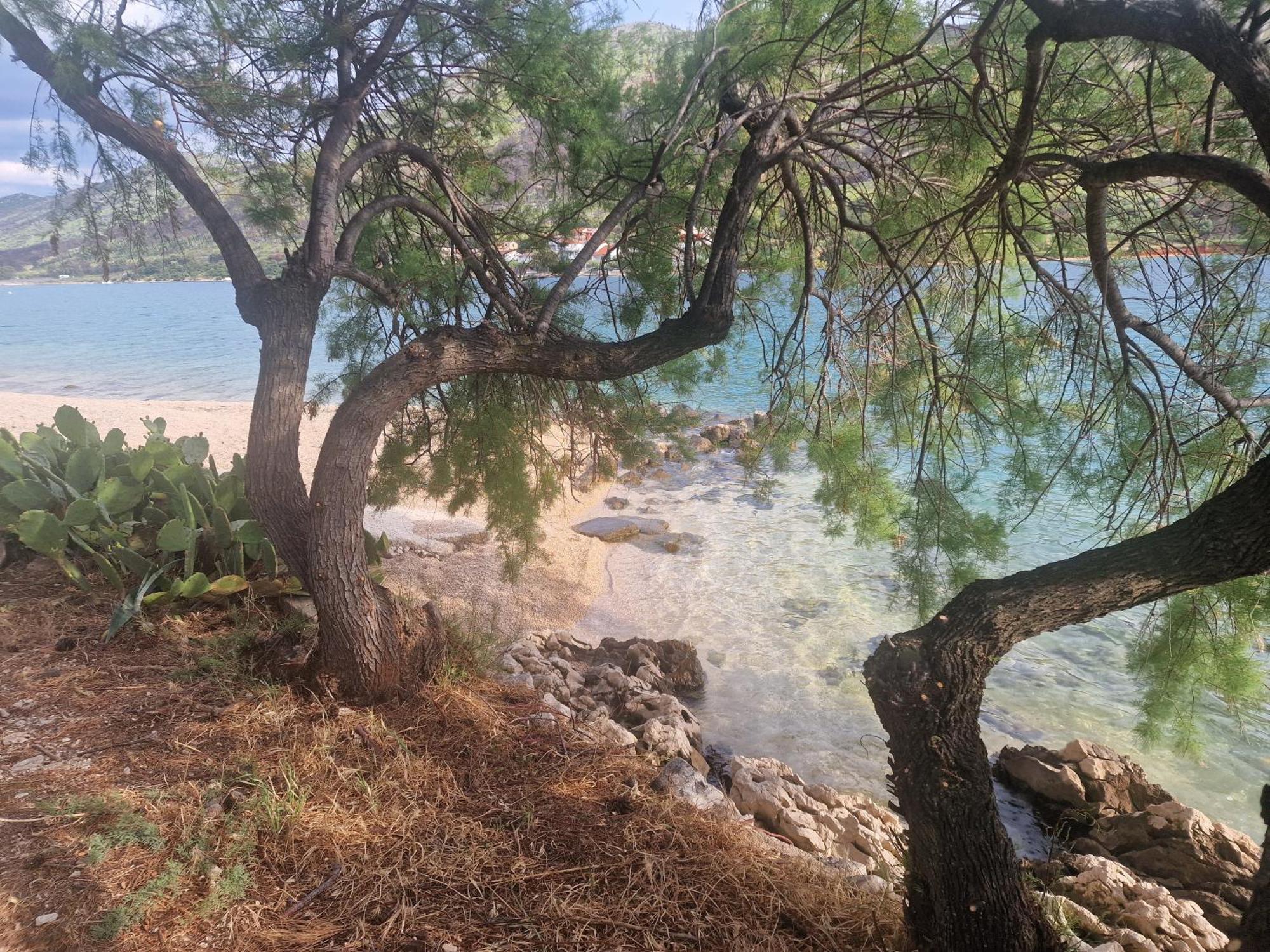 Hotel Camp Ante-Gojko Grebaštica Pokoj fotografie